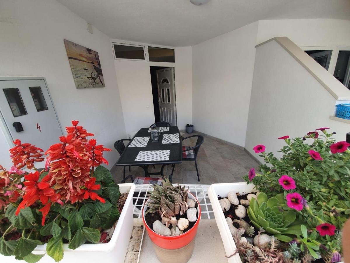 Apartmán Luxury Oasis